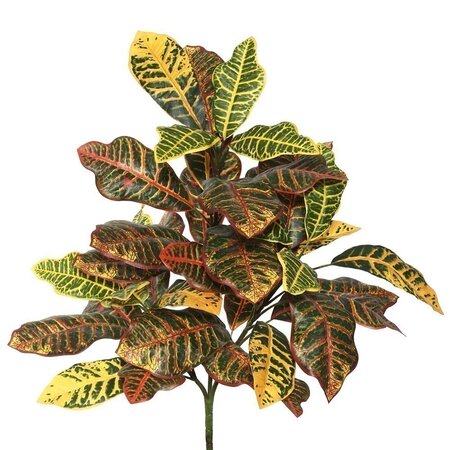 34" Croton Plant W/40 Lvs-Green/Orange