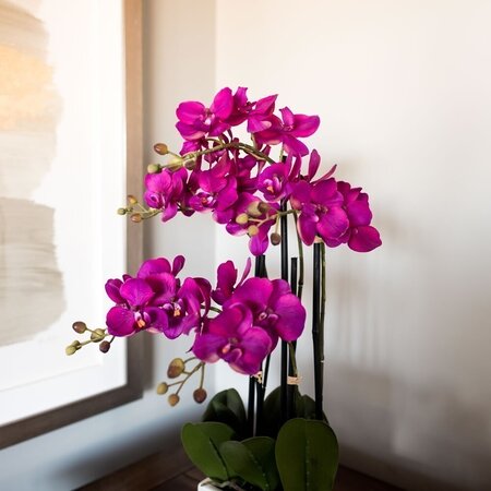 21" Purple Potted Orchid