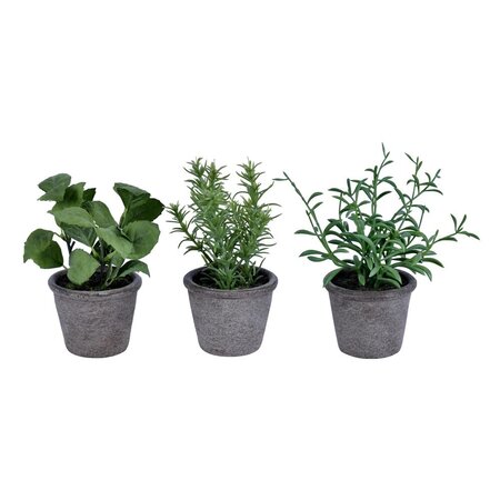 7" Green Potted Herbs Assort 3/pk