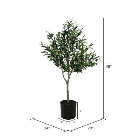 4' Green Potted Olive Tree