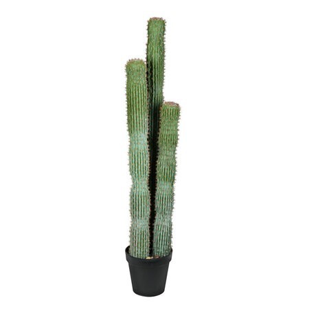 54 inches Green Potted Cactus