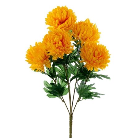 23" Marigold Yellow Mum Bush x 5