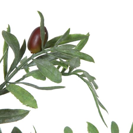 27" Olive Hill Tree W/ Container