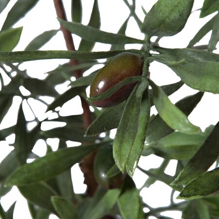 27" Olive Hill Tree W/ Container