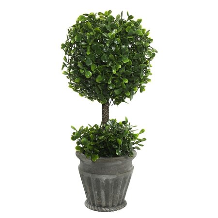 13" Boxwood Topiary In Container