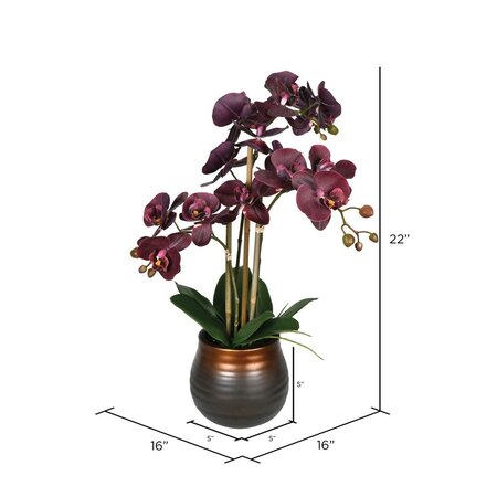 22" Purple Phalaenopsis In Pot