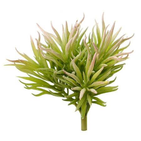 7 inches Green Agave Crassula Tetragona Pick