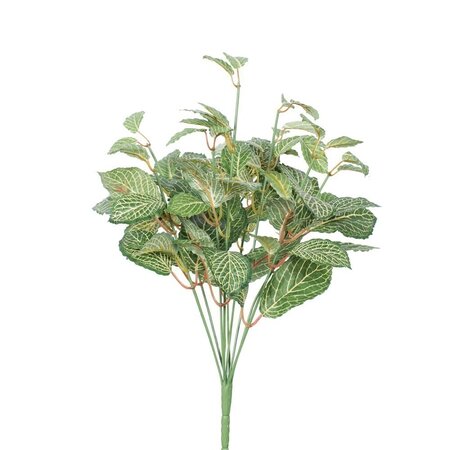 17" Artificial Green Fittonia Bush