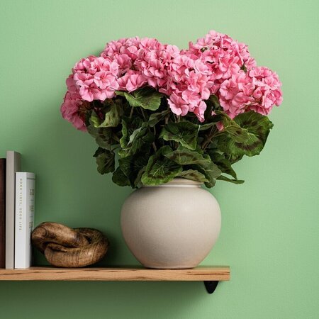 18" Geranium Bush-Coral