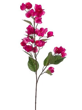 34 inches Bougainvillea Spray  Beauty