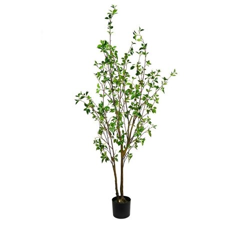 72" Potted Baby Leaf Tree