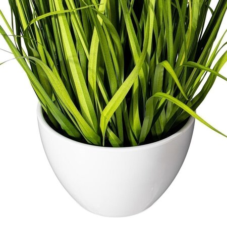 31" Yellow Potted Cosmos Grass