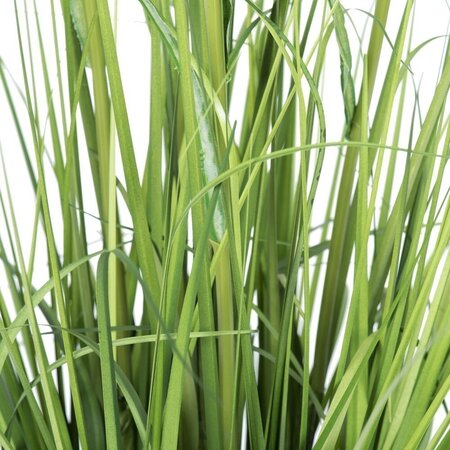 41" Green Potted Bamboo Grass
