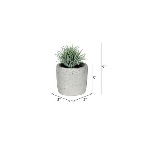 6" Green Potted Succulent 4/pk Asst