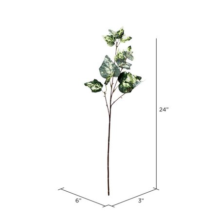 24" Green Variegated Ivy Spray 6/pk