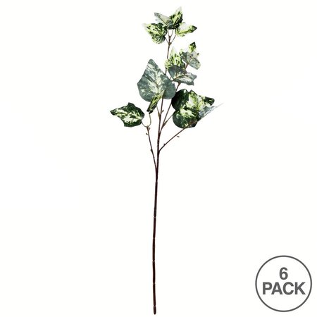 24" Green Variegated Ivy Spray 6/pk