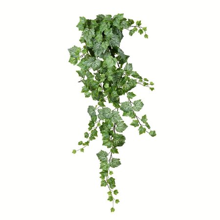 51 Inches Green & White Grape Ivy Hanging Bush