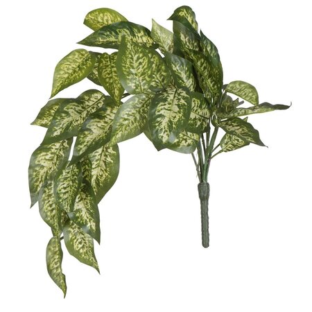 24 inches Green Dieffenbachia Bush Vine