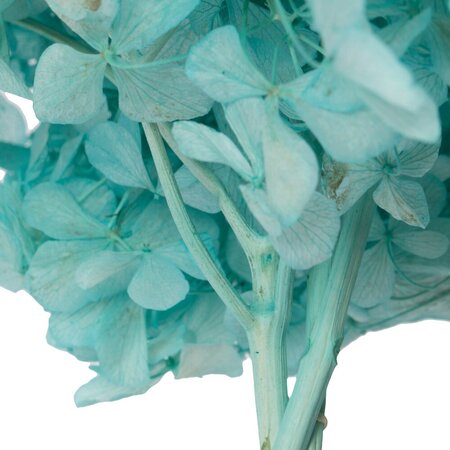 15" Turquoise Hydrangea Stem