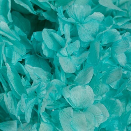 15" Turquoise Hydrangea Stem