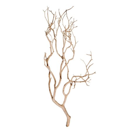 24" Sand Blasted Manzanita Tree Branch