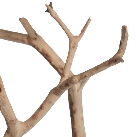 24" Sand Blasted Manzanita Tree Branch