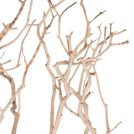 24" Sand Blasted Manzanita Tree Branch