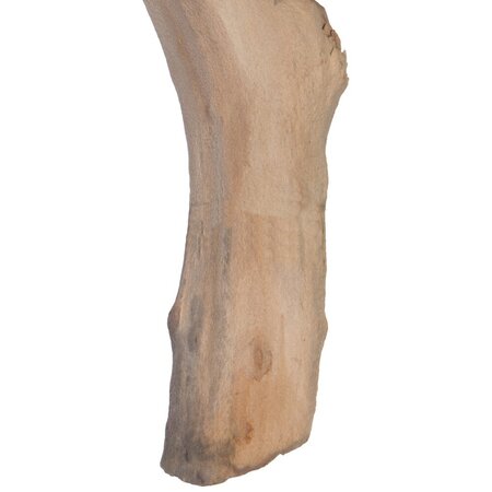 24" Sand Blasted Manzanita Tree Branch