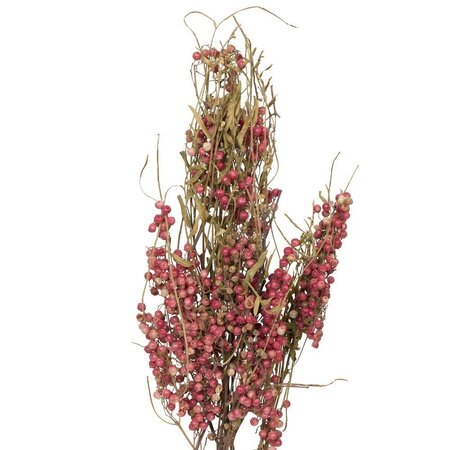 17-20" Nat Pink Dried Pepper Berry 4 oz