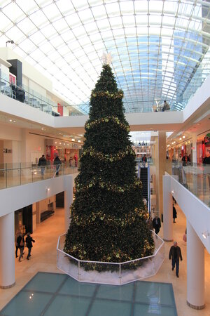 30 Foot Indoor/Outdoor Pine Tower Tree with LED Lights | Now Now! | Call For Best Pricing!