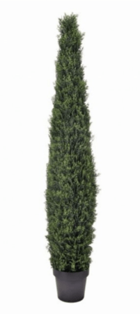 5 Foot Italian Outdoor  UV Rated CYPRESS  TOPIARY