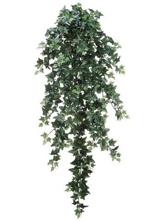 51 inches Medium Sage Ivy Hanging Bush  with 547 Leaves Two Tone Green