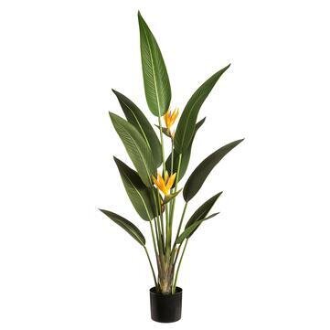 4.5’  Tropical Bird of Paradise Plant With 2 Flowers in Pot Orange Green (Real Touch)