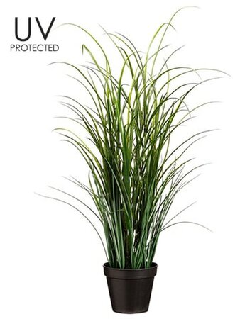 36 inches UV Protected Tall Grass in Pot Green