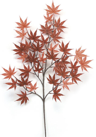 5 feet Outdoor Japanese Maple Tree - Natural Trunks - 1,512 Leaves