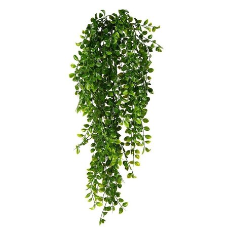31 inches Outdoor UV Green Mini NEMATANTHUS Leaf Hanging Bush