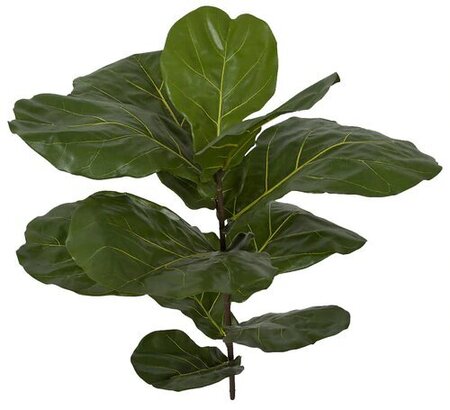 30 inch fiddle leaf fig branch (sold per piece) regular or ifr