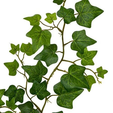 57 Inch Hanging Sage Ivy Vine