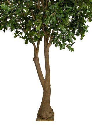 12 FOOT H X 11 FOOT W OAK TREE ON FIBERGLASS TRUNK AND BASE