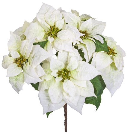 24 Inch White
