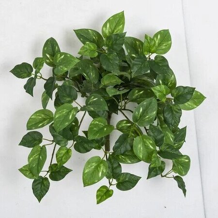 14 Inch Artificial Variegated Pothos Bush