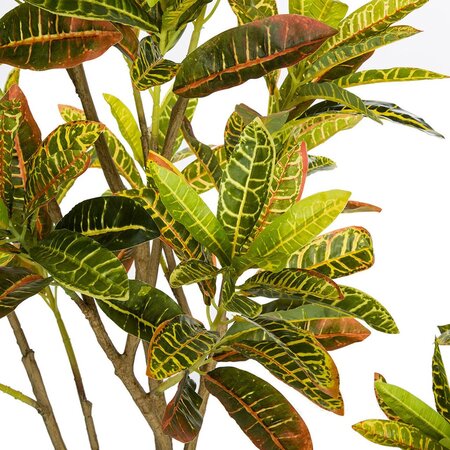 NATURAL TOUCH CROTON PLANT | 3 FOOT OR 5 FOOT SIZES