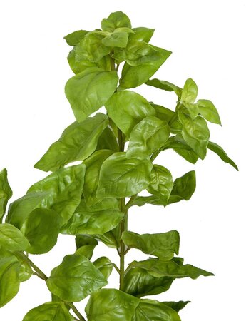 24 Inch Basil Leaf Spray