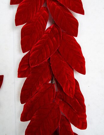 4 feet Red Velvet Magnolia