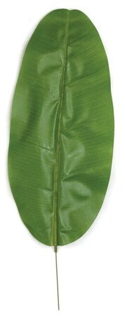 28.5 INCH BANANA PALM LEAF (SOLD BY THE DOZEN)