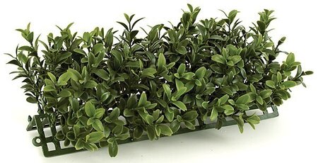 10 inches Plastic Boxwood Edge - 100 Green Leaves - 4.75 inches Width - Tutone Green