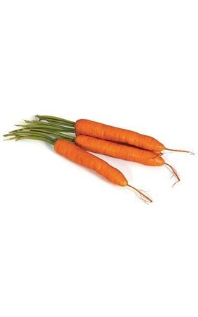 14 inches Plastic Carrots with Leaves - 4 Pcs Per Bag - Orange