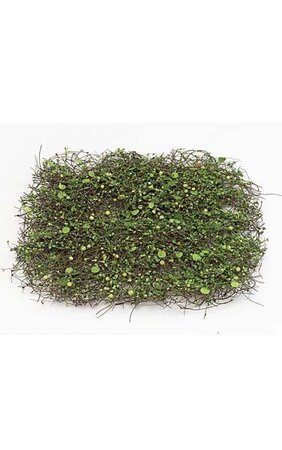16 inches x 16 inches Moss Twig Mat with Leaves - Green