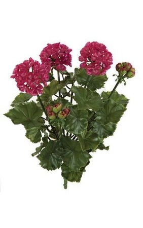 17 inches Outdoor Geranium Bush - 3 Flowers - 2 Buds - 12 inches Width