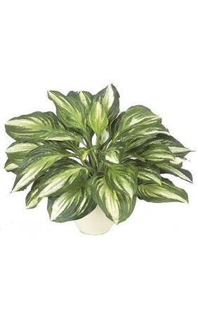 17 inches Artificial Hosta Plant - 34 Leaves - Green/White - Bare Stem